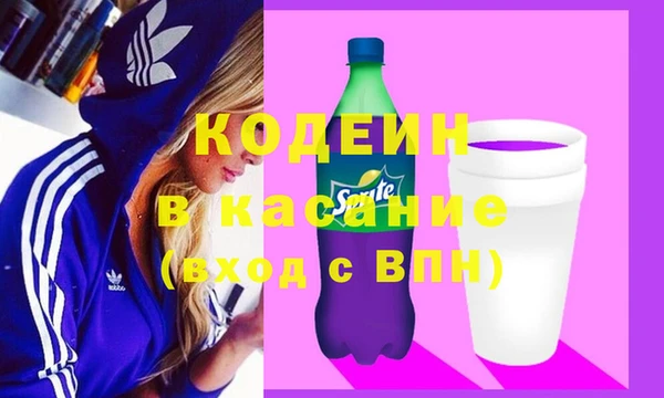 крисы Алексин