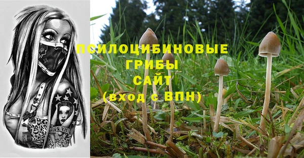 PSILOCYBIN Алексеевка