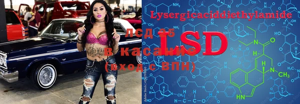 PSILOCYBIN Алексеевка