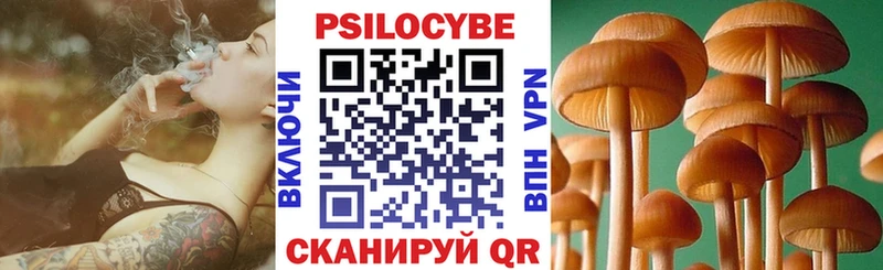 гидра ONION  Красноярск  Псилоцибиновые грибы Psilocybe 