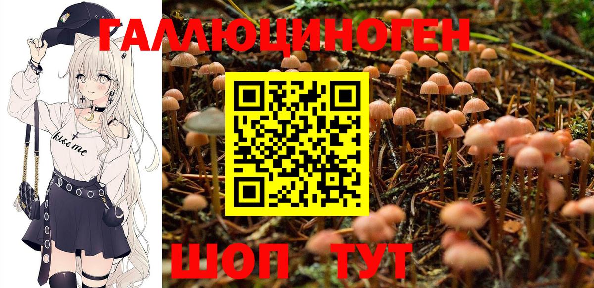 Галлюциногенные грибы Magic Shrooms  Вход с VPN  Красноярск 